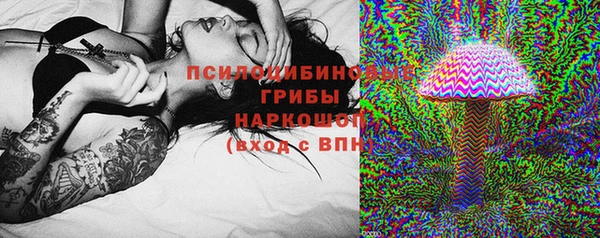ешки Верея