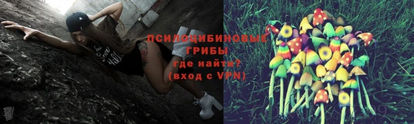 ешки Верея