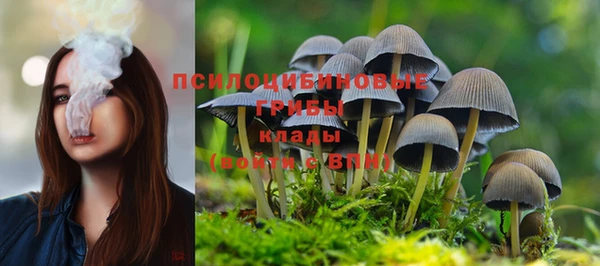 ешки Верея