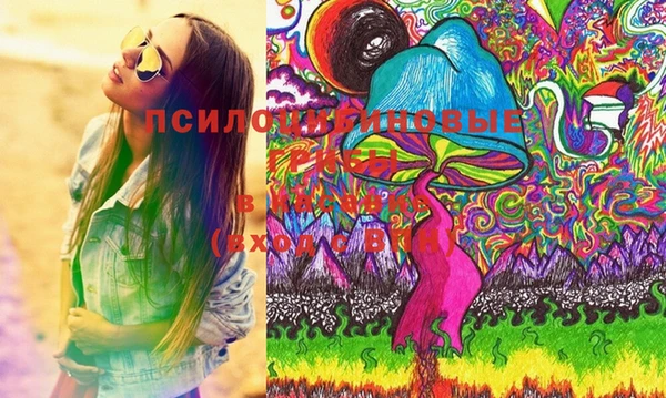 ешки Верея