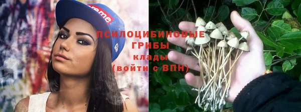 гидропоника Верхнеуральск