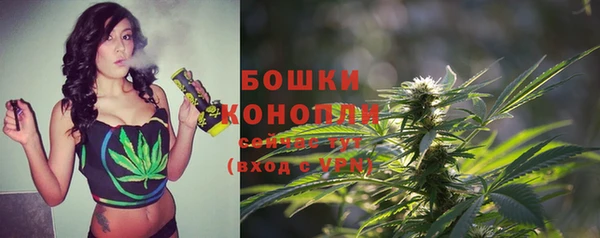 ешки Верхний Тагил