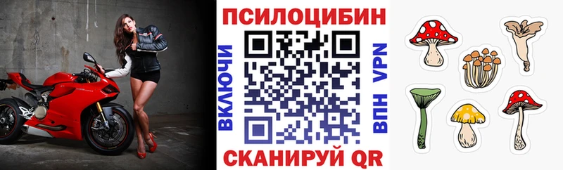 Галлюциногенные грибы прущие грибы  ОМГ ОМГ онион  Находка 